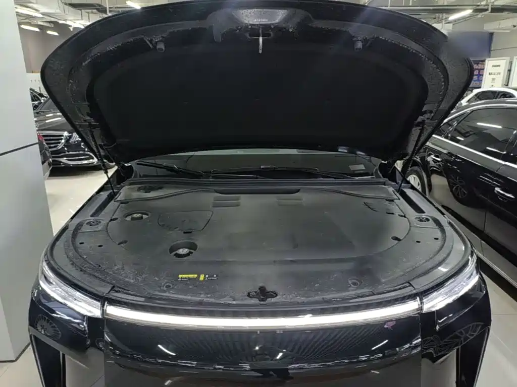GAC Motor Trumpchi Xiangwang S9 — миниатюра 20