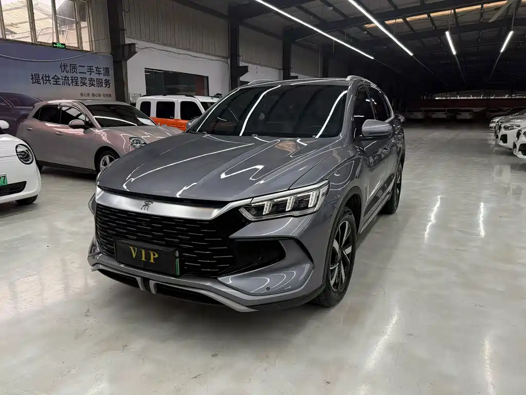 BYD Pro New Energy