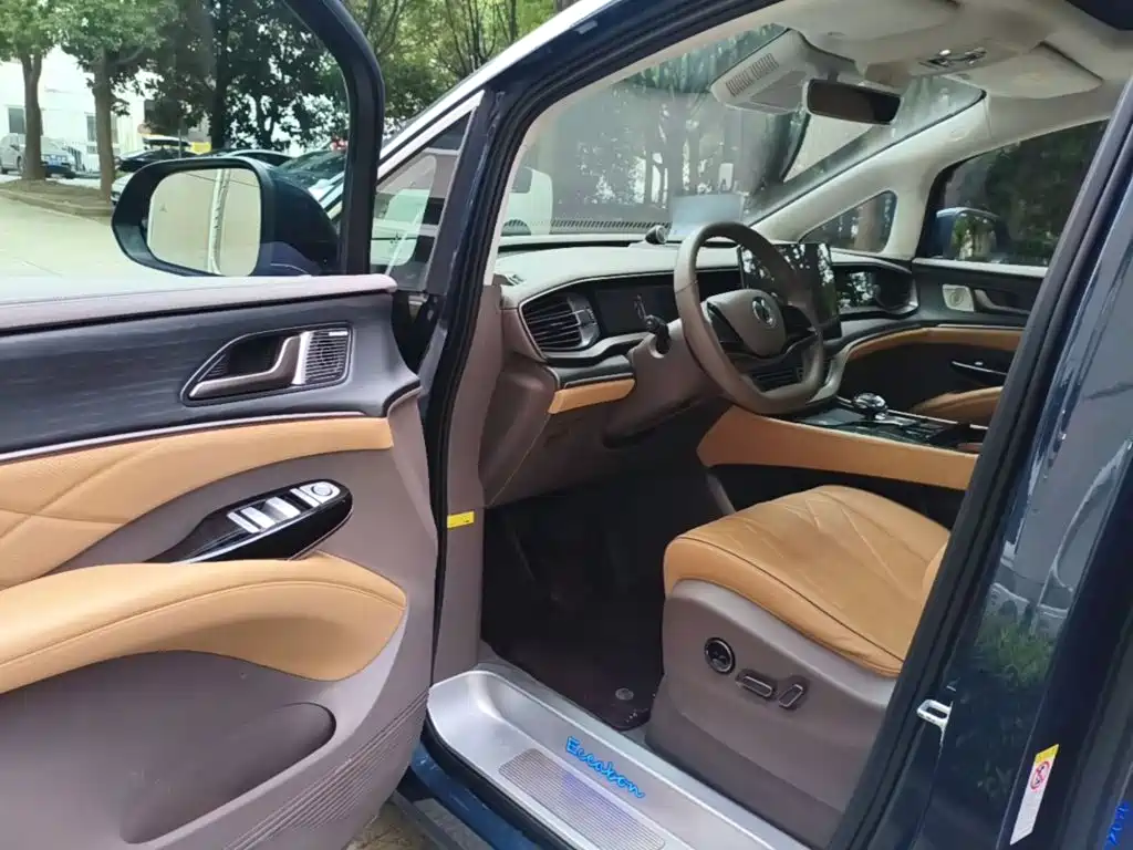 Denza Denza D9 — миниатюра 16