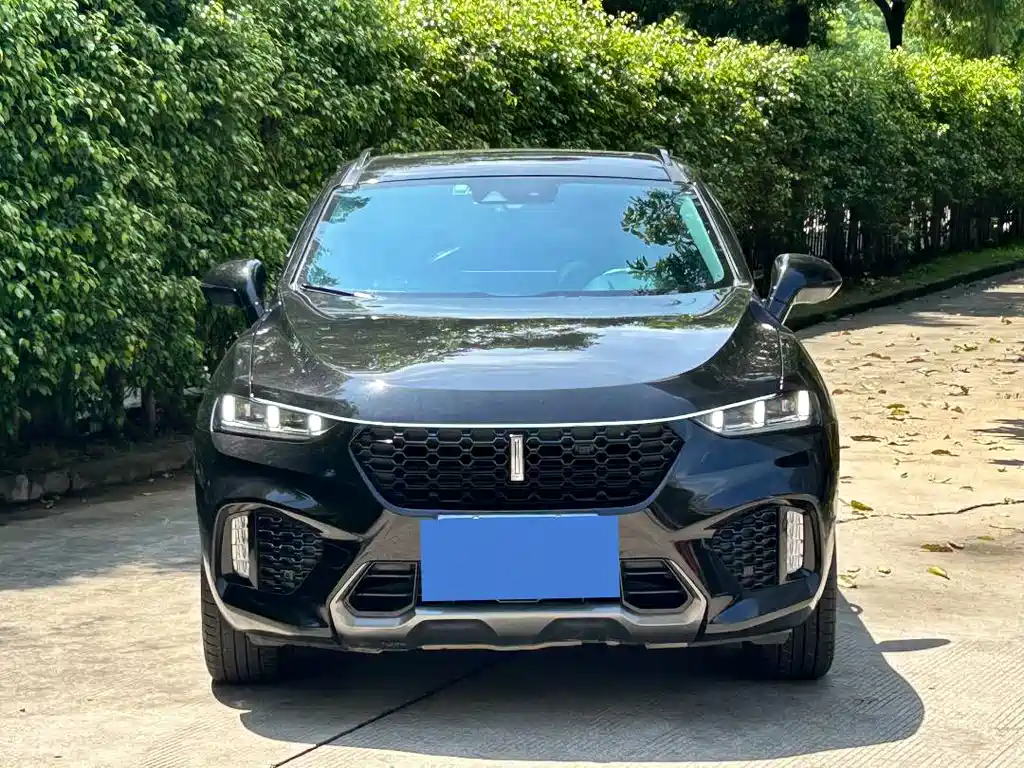 Wey Wey VV7 2019