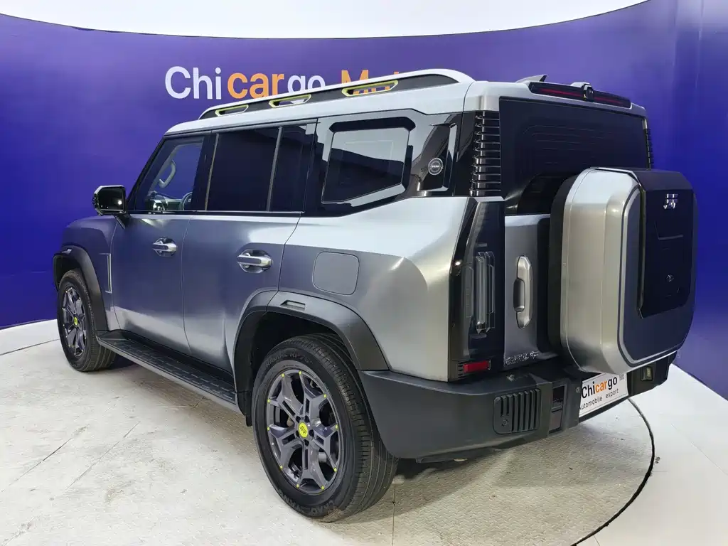 Shanhai Traveller C-DM — миниатюра 5