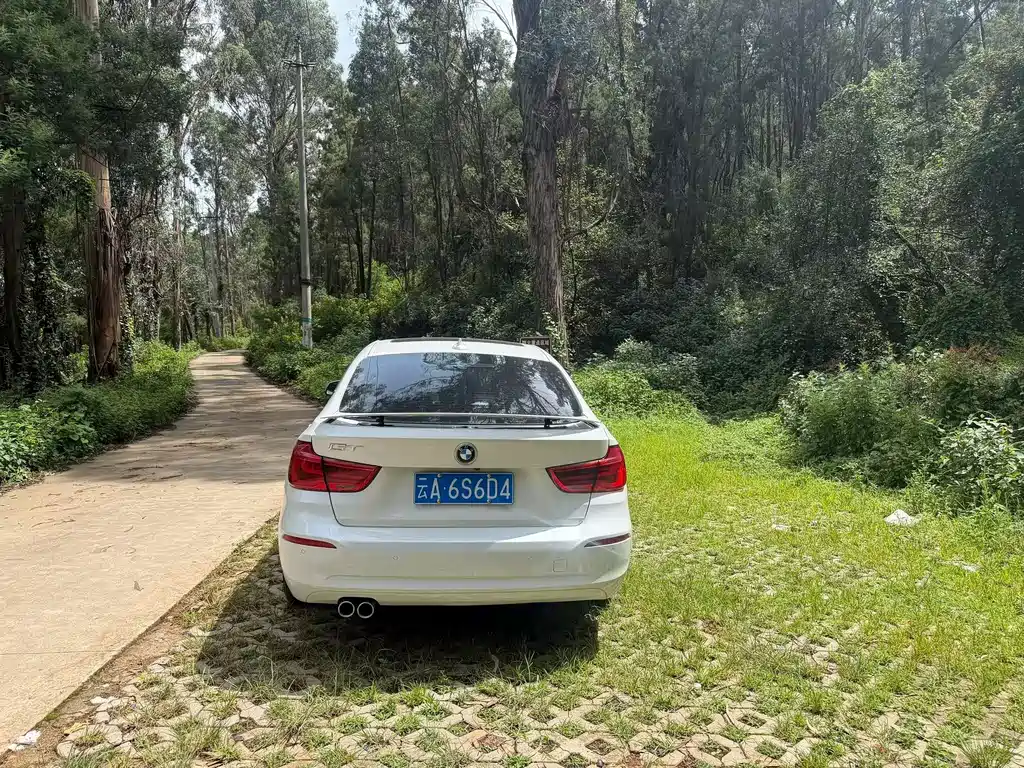 BMW 3 Series GT — миниатюра 8