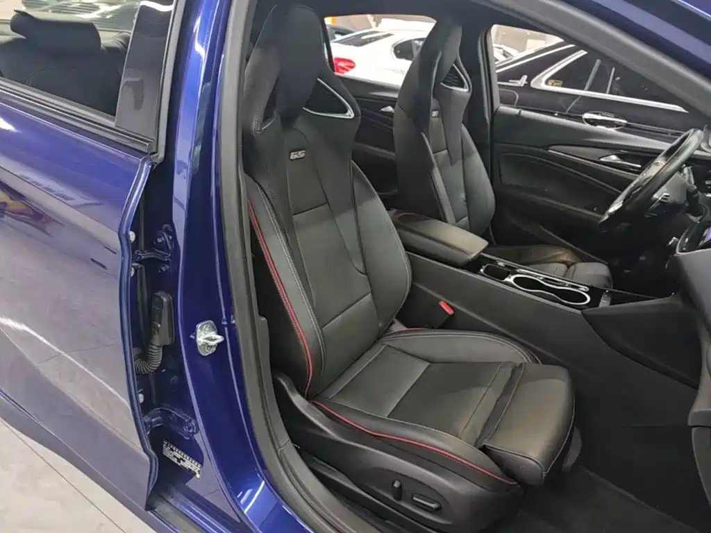 Buick Regal — миниатюра 25