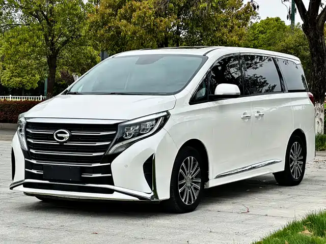 2020 GAC GN8
