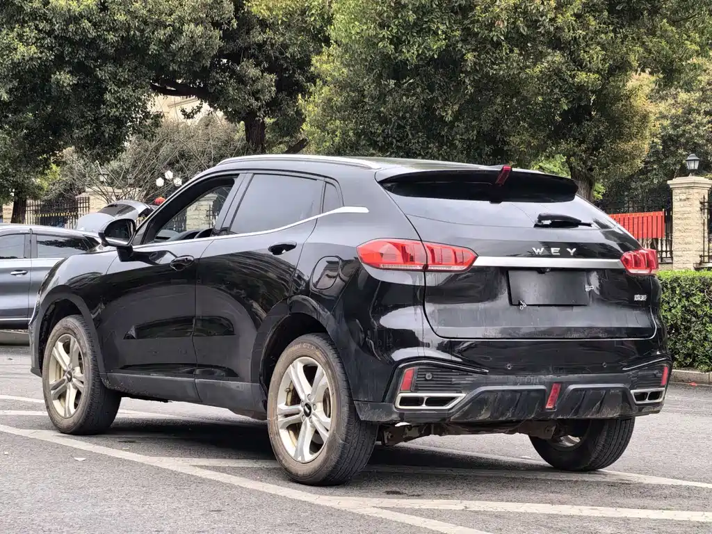 WEI PAI WEI BRAND VV5