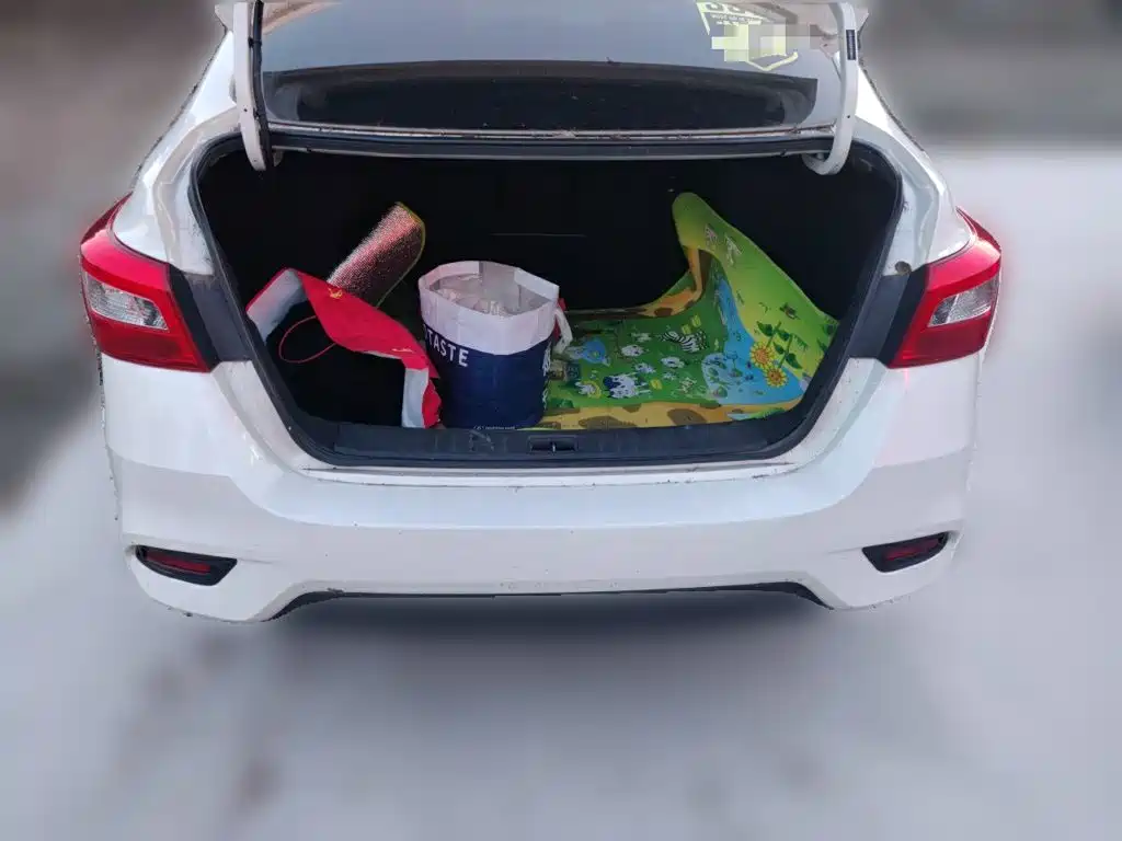 Nissan Sylphy — миниатюра 20