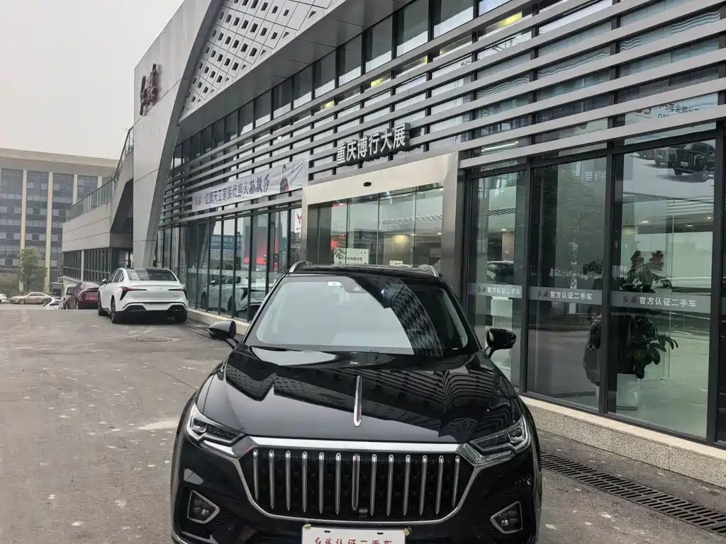 RED FLAG HONGQI HS5