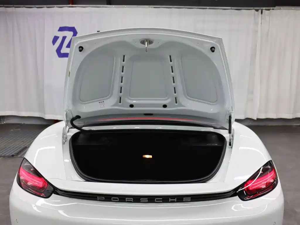 Porsche 718 — миниатюра 28