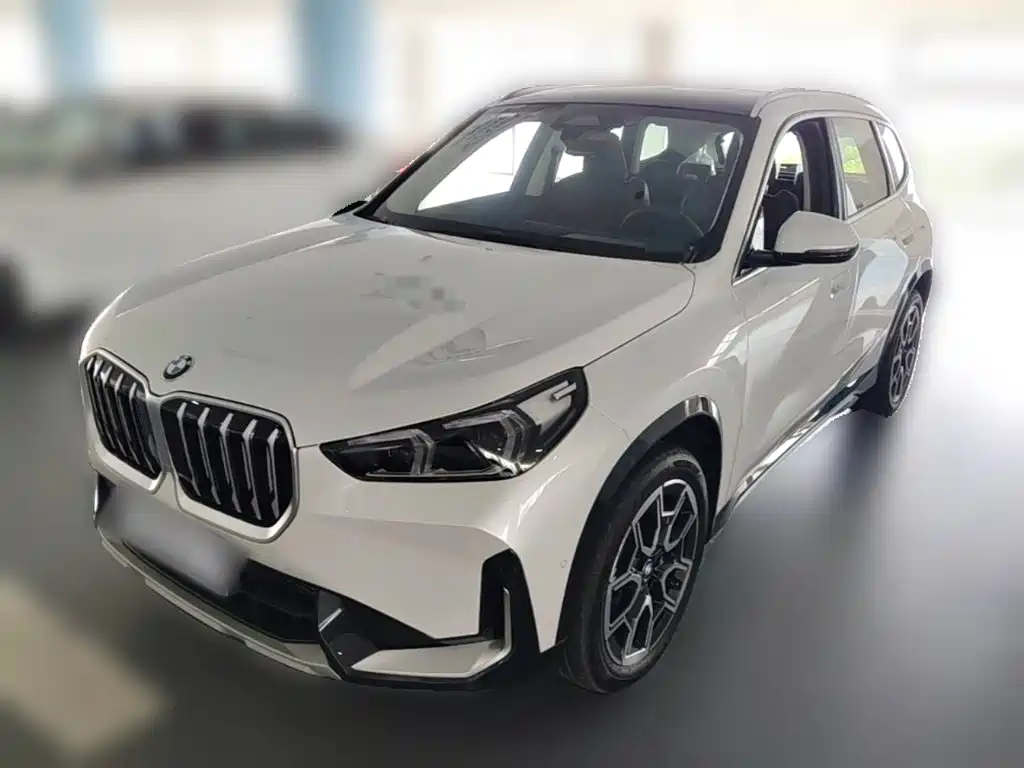 BMW X1 — миниатюра 3