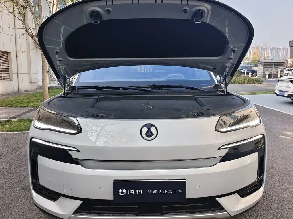 Denza Denza N9 — миниатюра 2