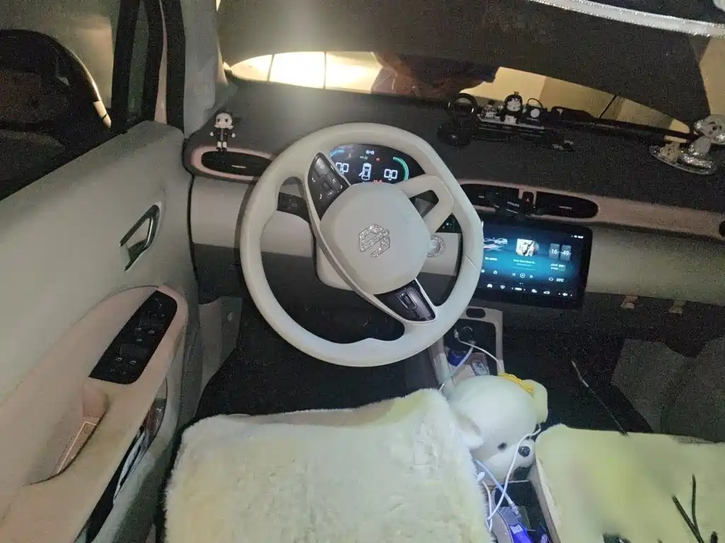 Leapmotor T03 2023 310