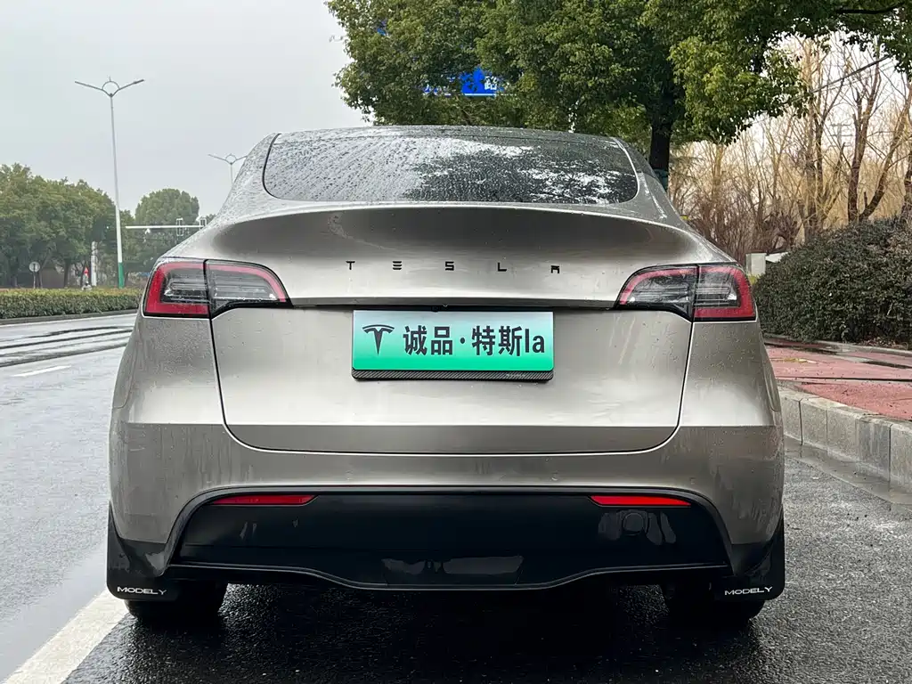 TESLA MODEL Y