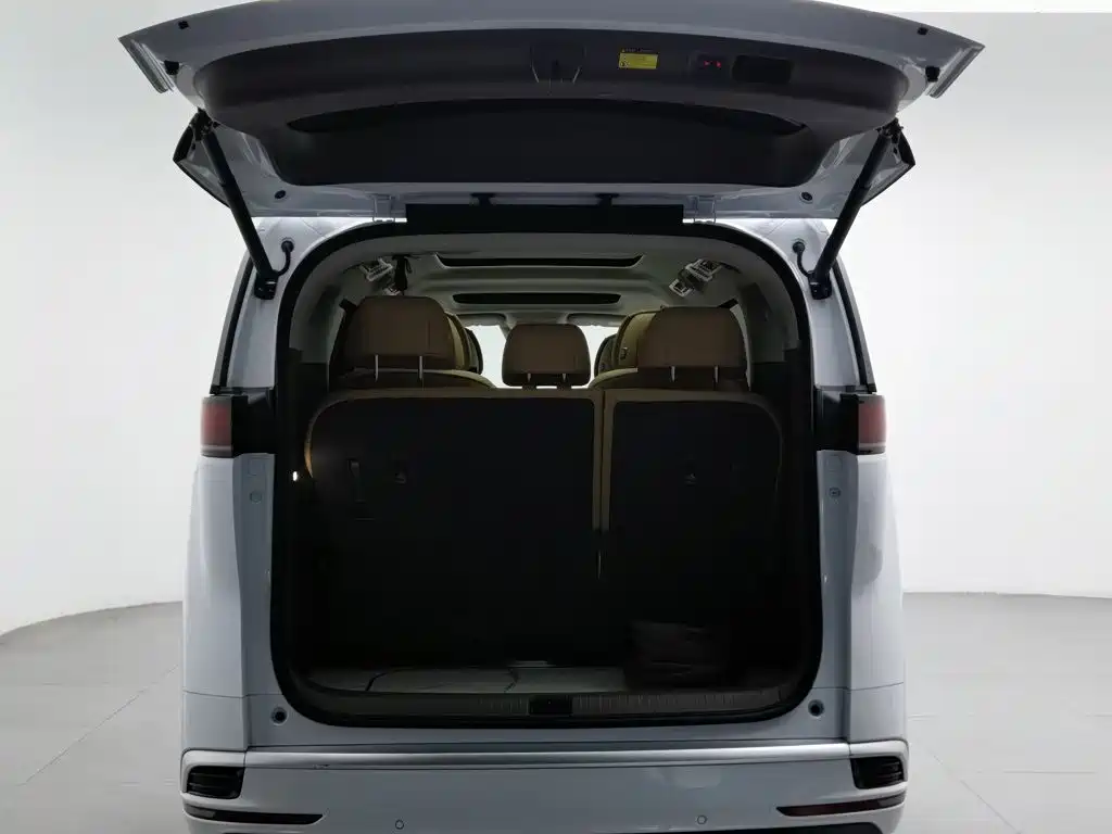 Denza Denza D9 — миниатюра 16