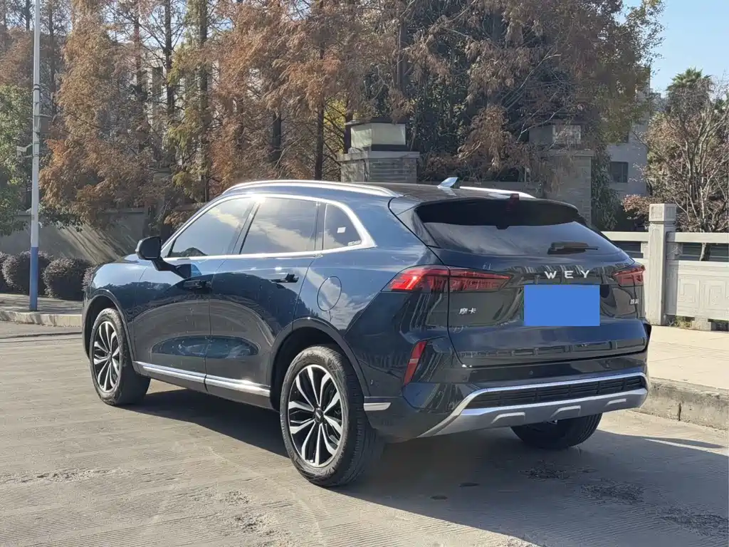 WEI PAI WEI BRAND MOCHA