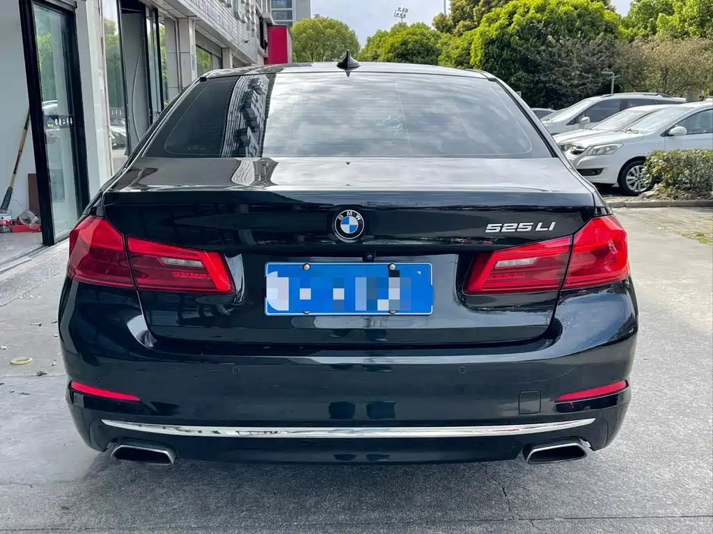 BMW 5 Series Facelift 525Li Luxury Package, фото 15