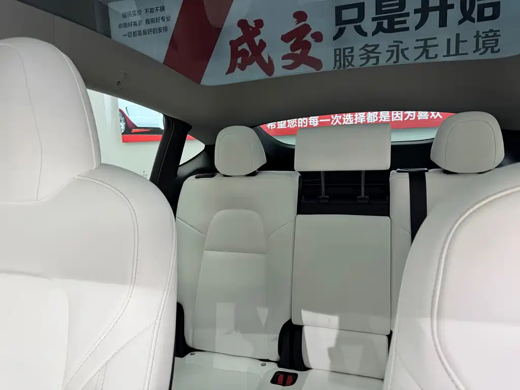 Tesla Model Y — миниатюра 11