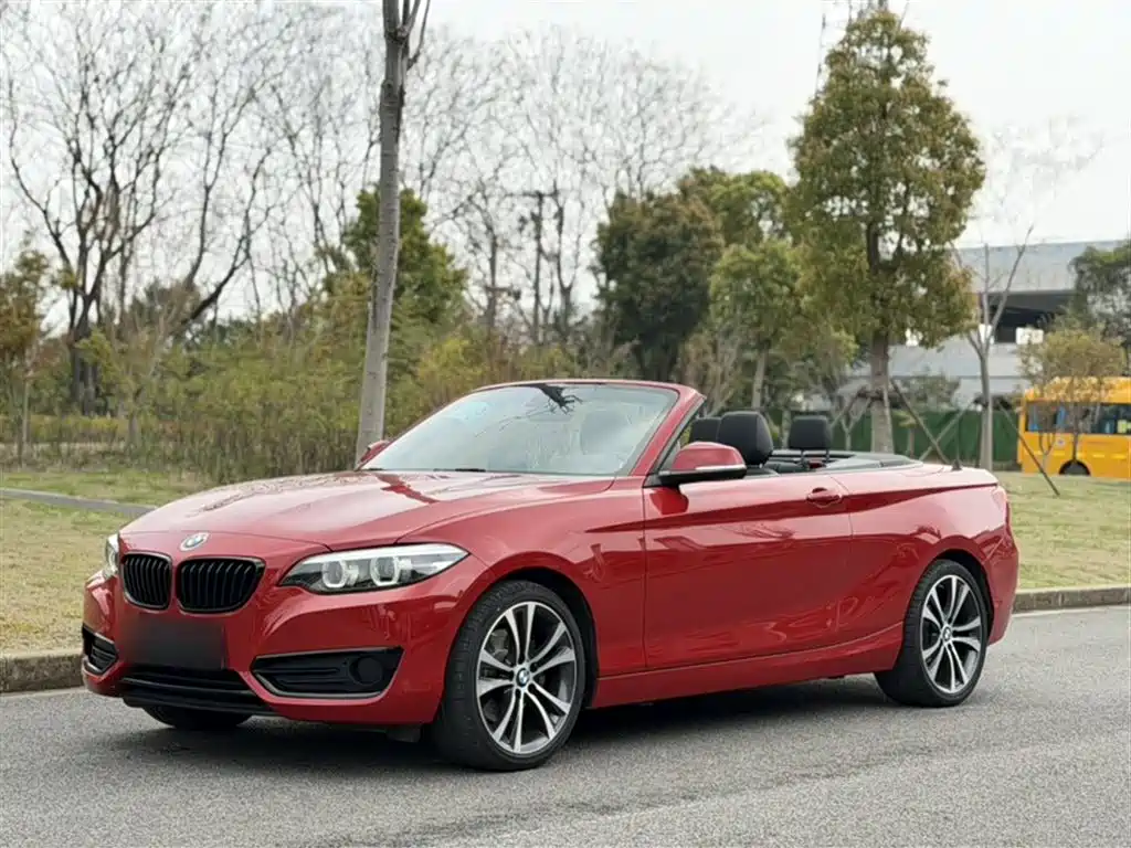 BMW 2 Series (Import) 2021