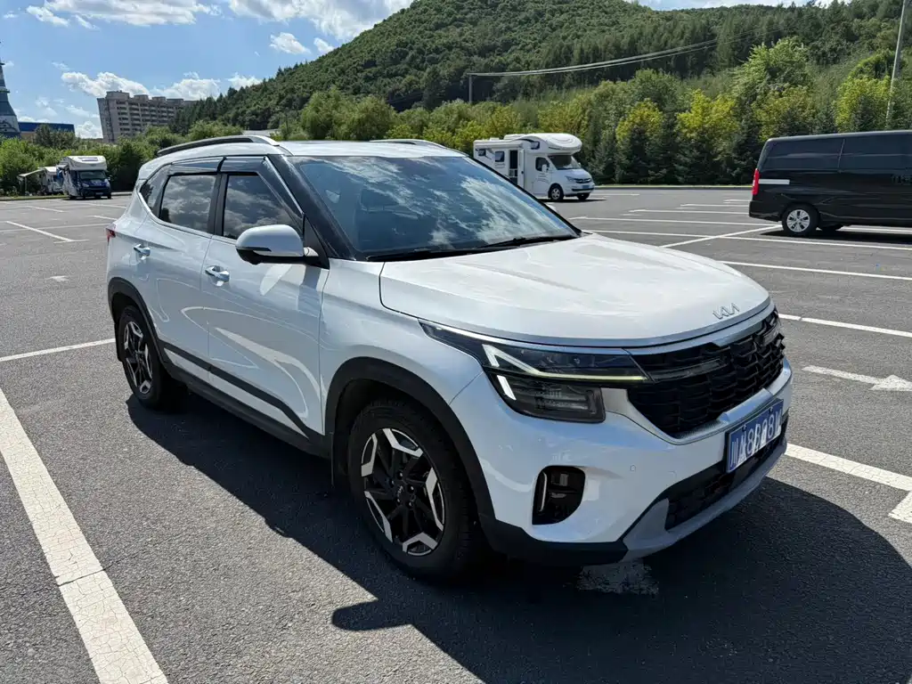 Kia Seltos — миниатюра 3