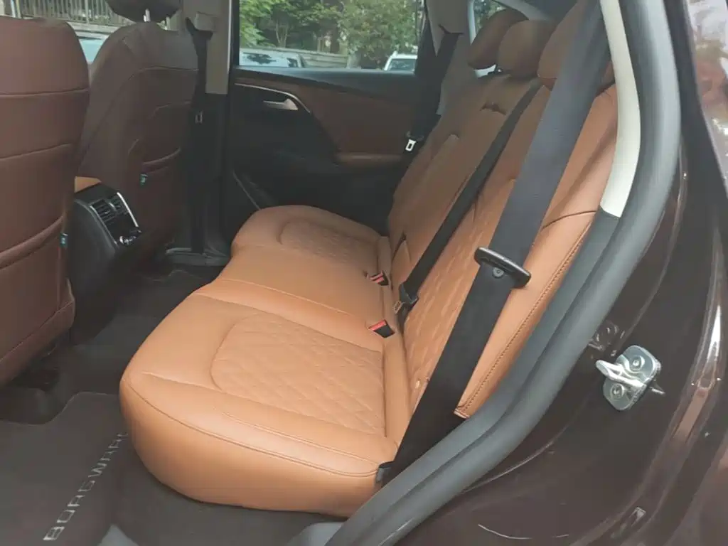 Borgward BX7 — миниатюра 17