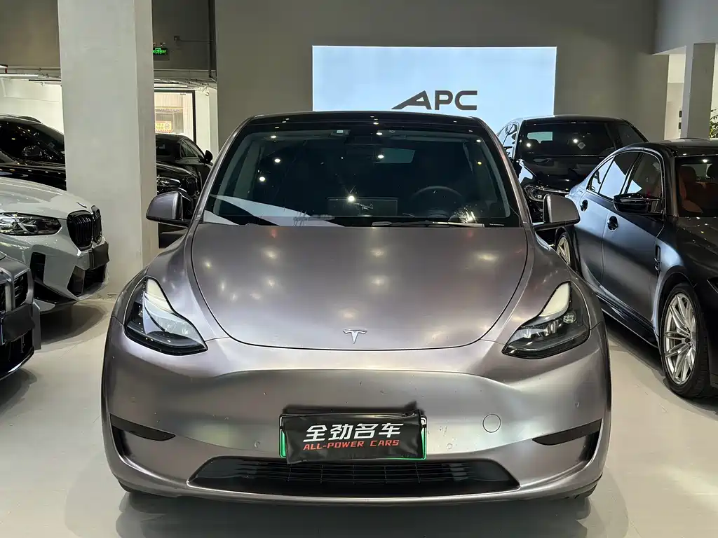 Tesla Model Y — миниатюра 2