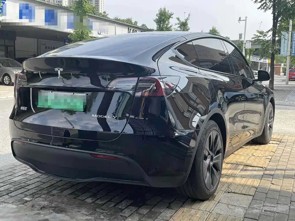 Tesla Model Y — миниатюра 9