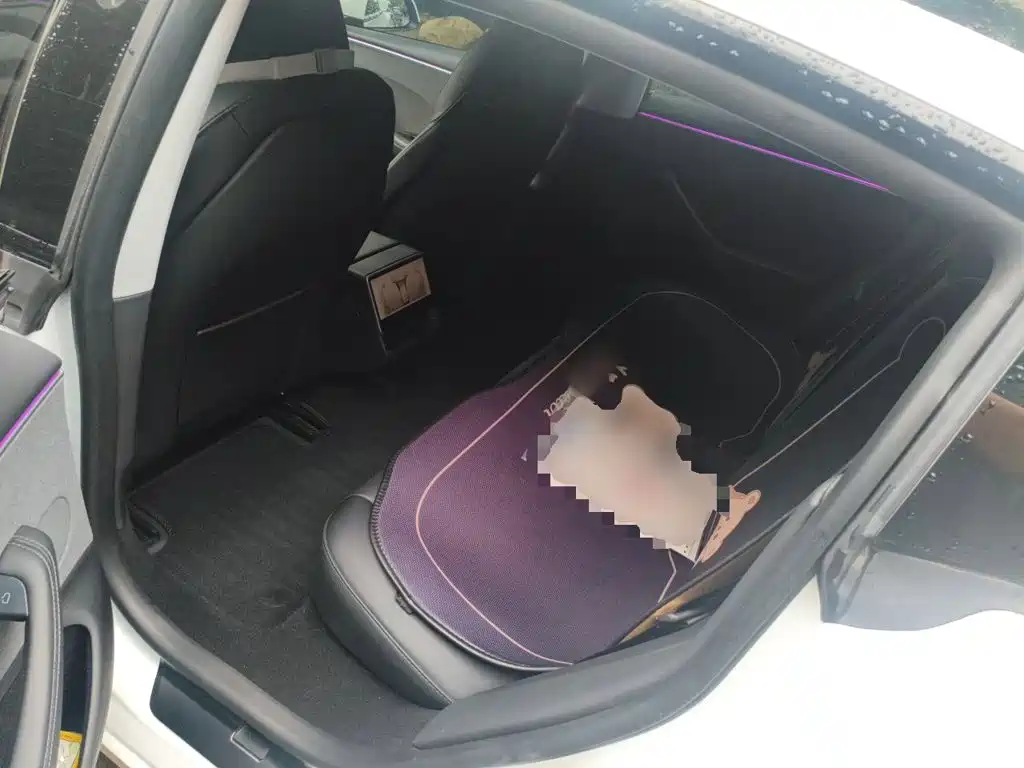 Tesla Model 3 — миниатюра 14