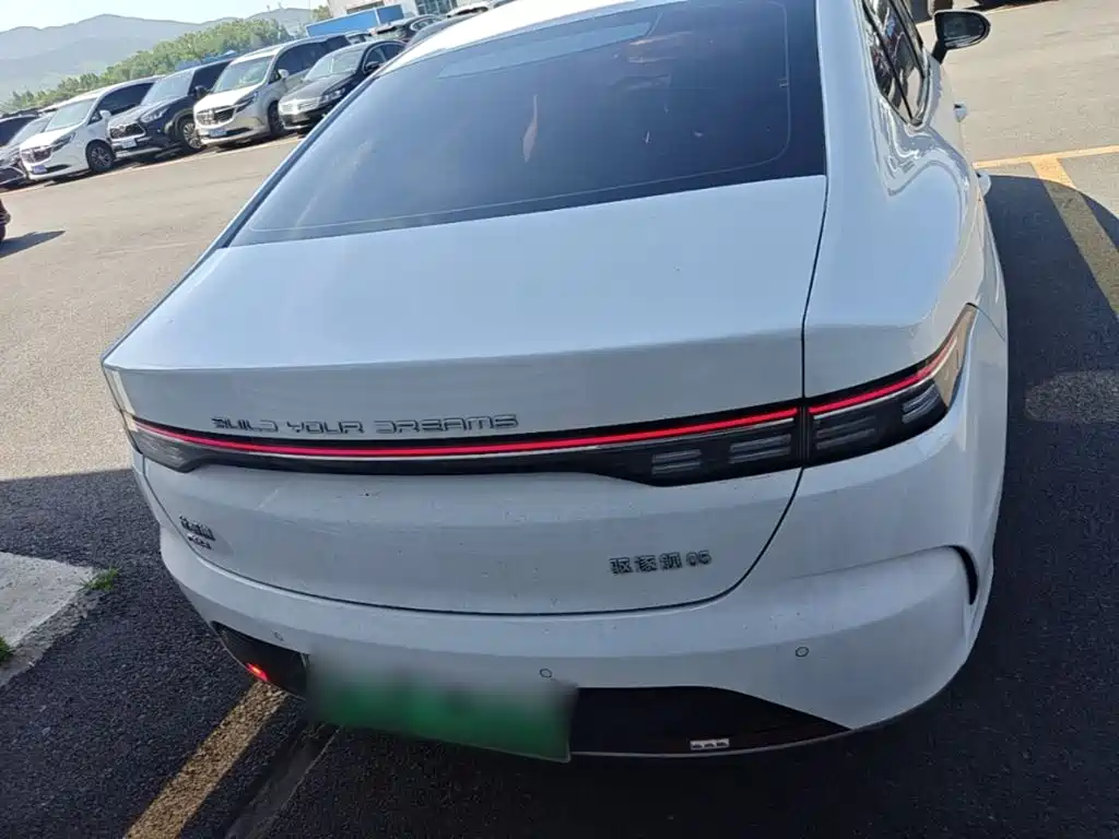 BYD Destroyer 05 2024 DM-i 55KM Luxury