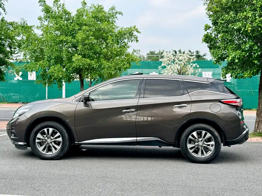 Nissan Murano 2019 2.5L XL Luxury VI