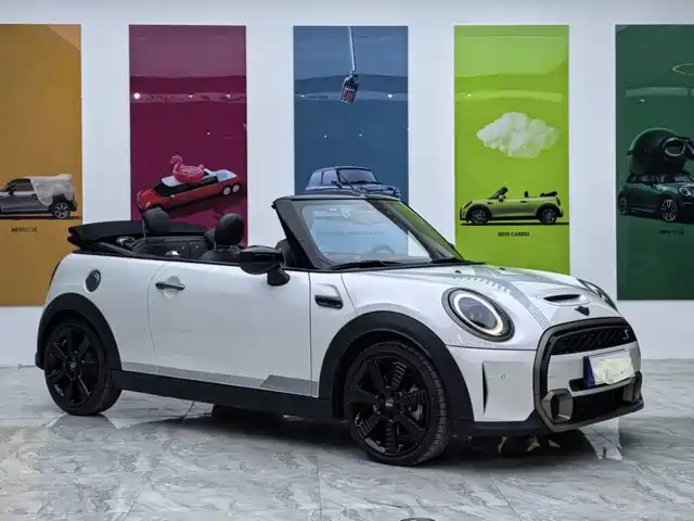 MINI 