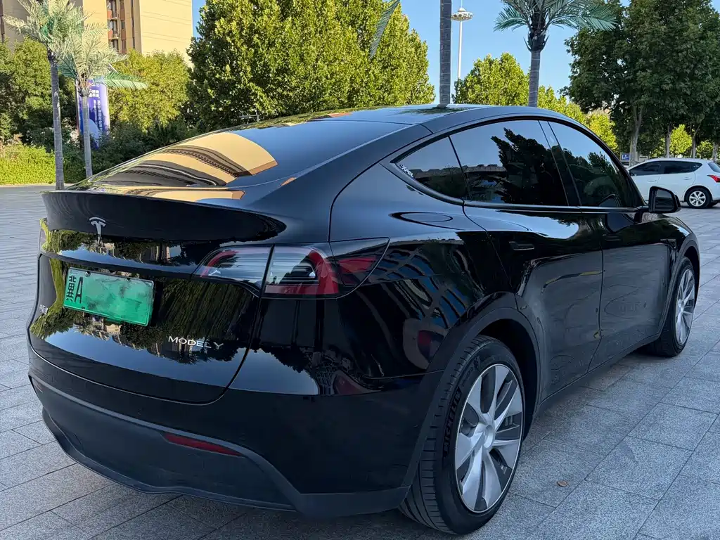 Tesla Model Y — миниатюра 6