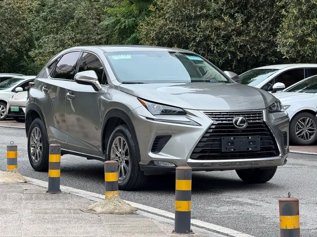 Lexus NX — миниатюра 2
