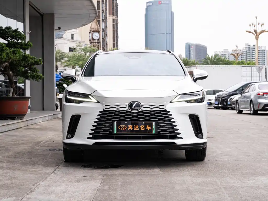 Lexus RX New Energy — миниатюра 2