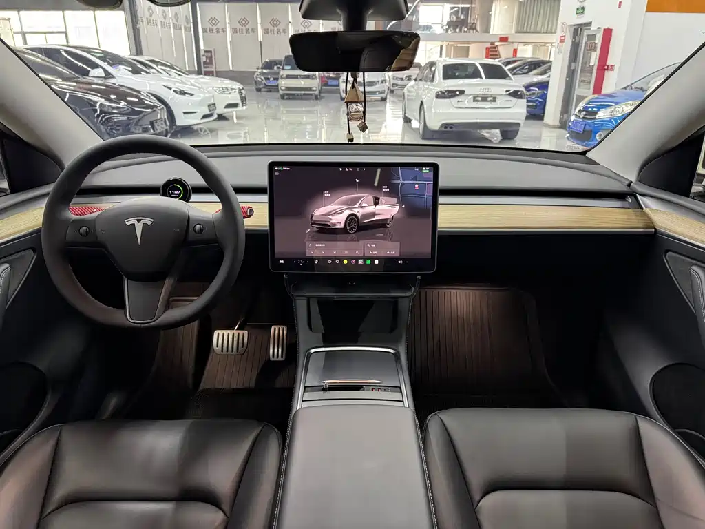 Tesla Model Y — миниатюра 13