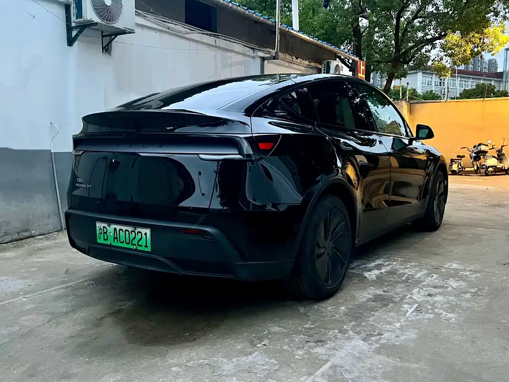 Tesla Model Y — миниатюра 6