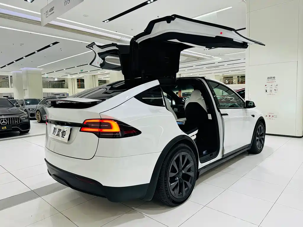 Tesla Model X — миниатюра 3