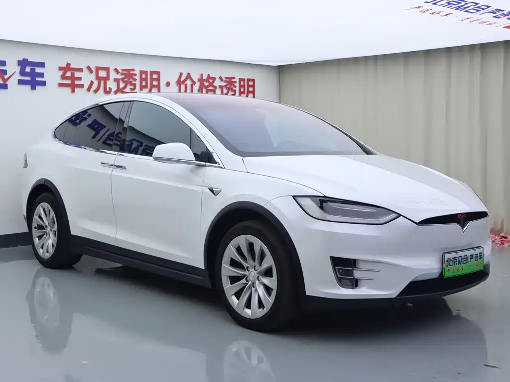 Tesla Model X — миниатюра 2