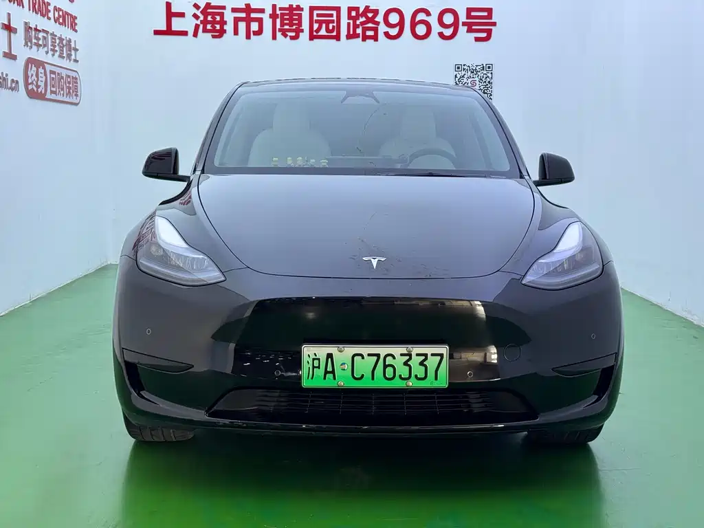 Tesla Model Y — миниатюра 2