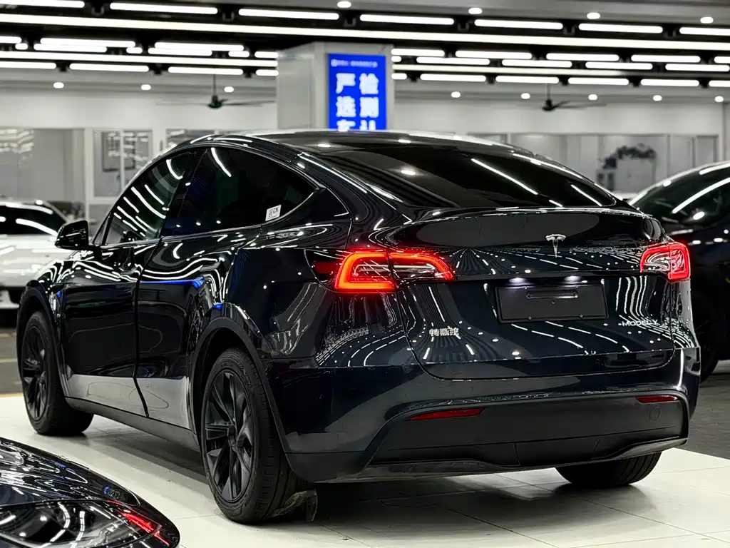 Tesla Model Y — миниатюра 4