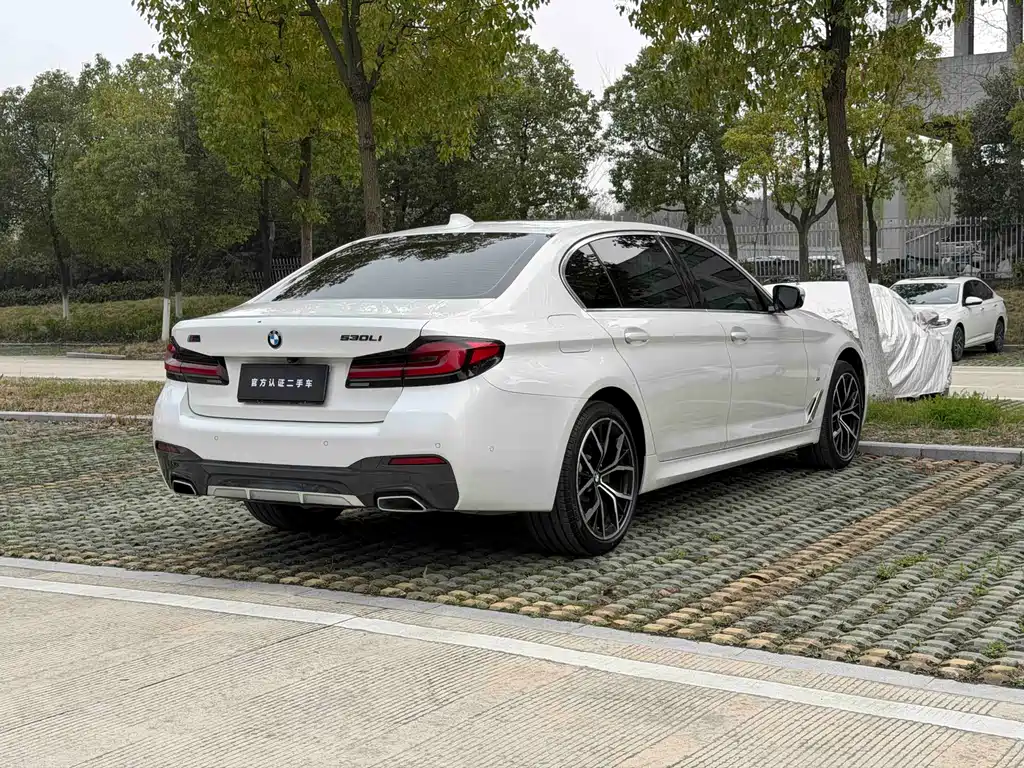 BMW 5 Series 5 2021 530Li Lead M Sport