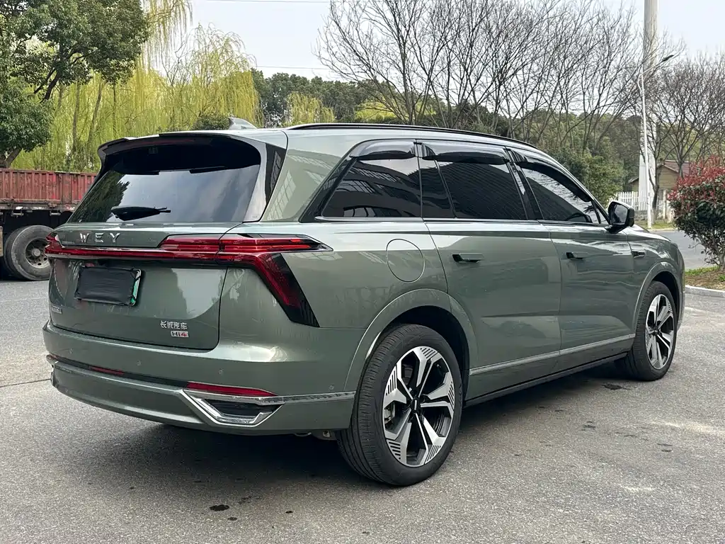 WEI PAI WEI BRAND BLUE MOUNTAIN