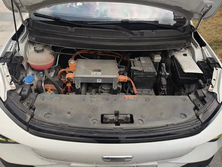 GEELY GEOMETRY E FIREFLY