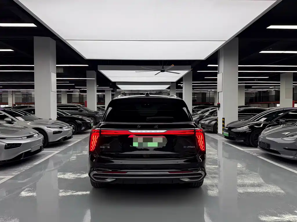 Hongqi Hongqi E-HS9 — миниатюра 17