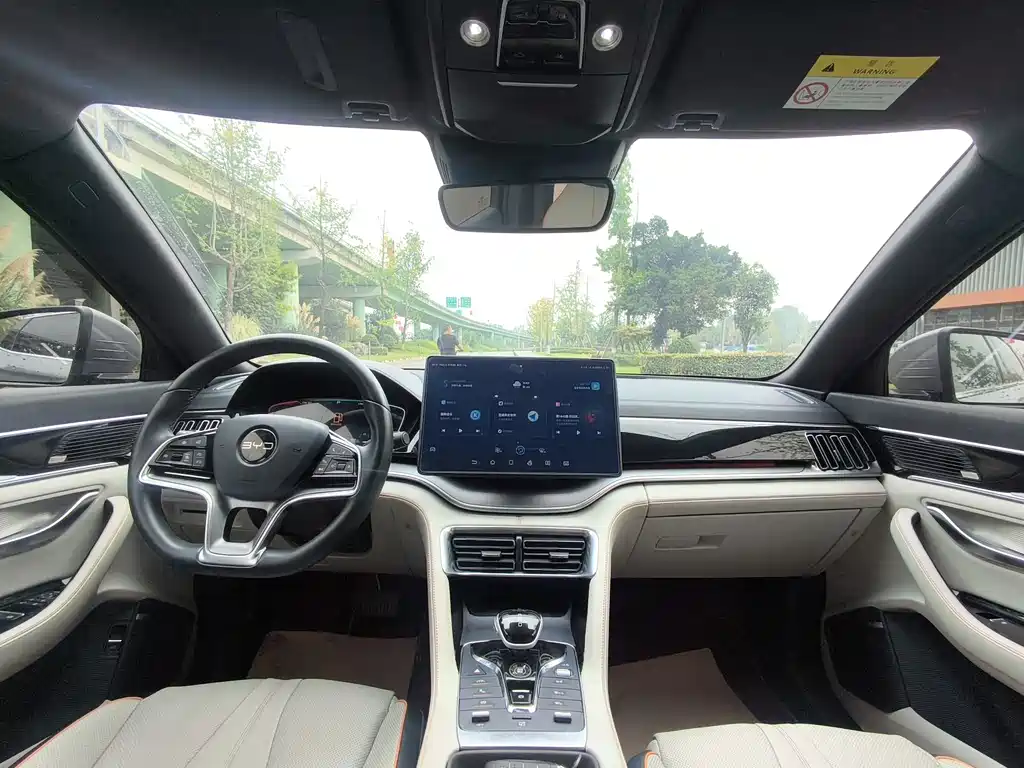 BYD PLUS New Energy — миниатюра 7