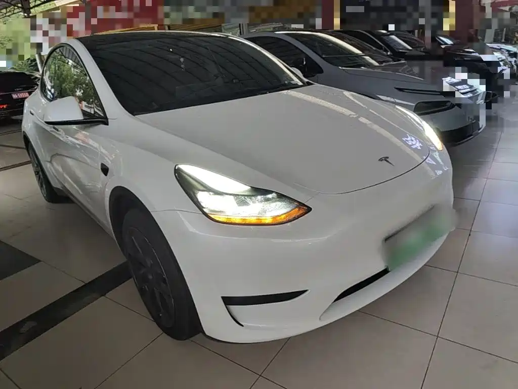 Tesla Model Y — миниатюра 4