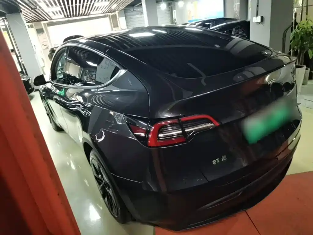 Tesla Model Y — миниатюра 5