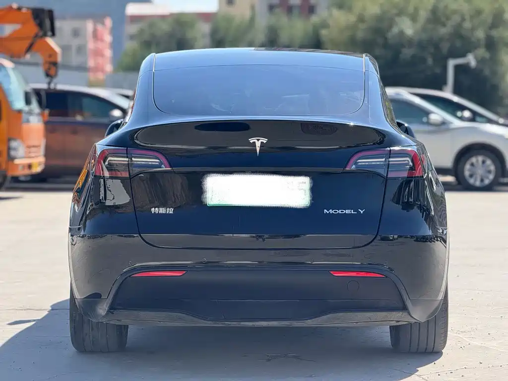 Tesla Model Y — миниатюра 8