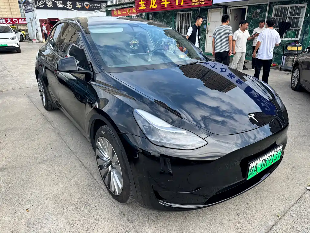 Tesla Model Y — миниатюра 3