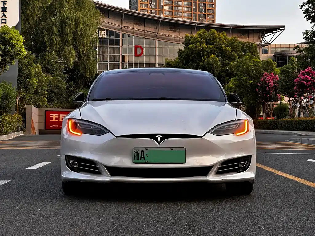 Tesla Model S — миниатюра 2