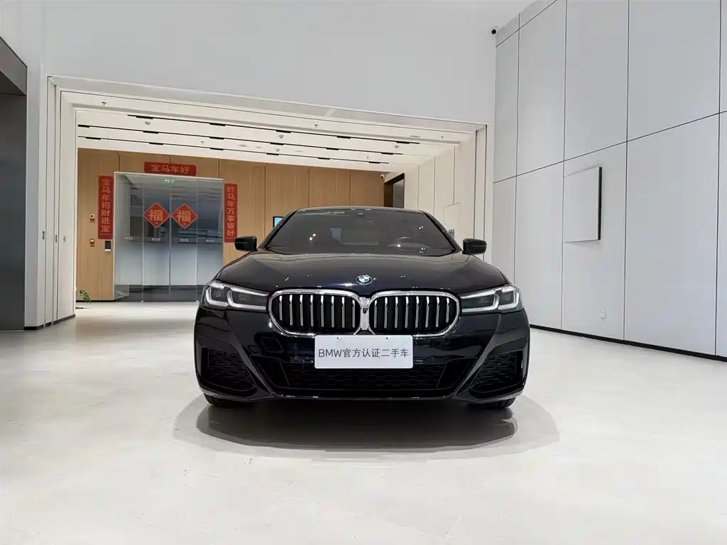 BMW 5 SERIES