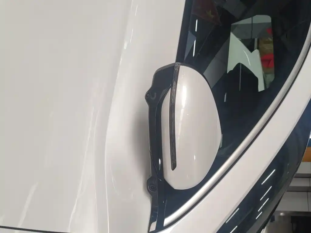 BYD Pro New Energy — миниатюра 13